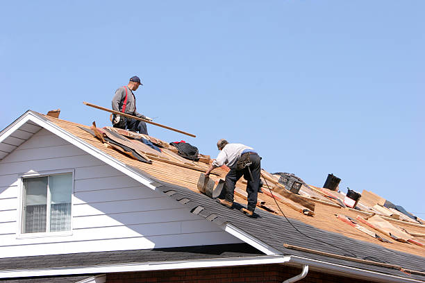 Best Asphalt Shingles Roofing  in Wylie, TX